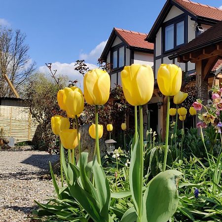 Delightful & Picturesque Modern Detached Apartment, Next To Chester Zoo, Near Park And Ride To City Centre Eksteriør bilde
